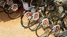 фото Rex