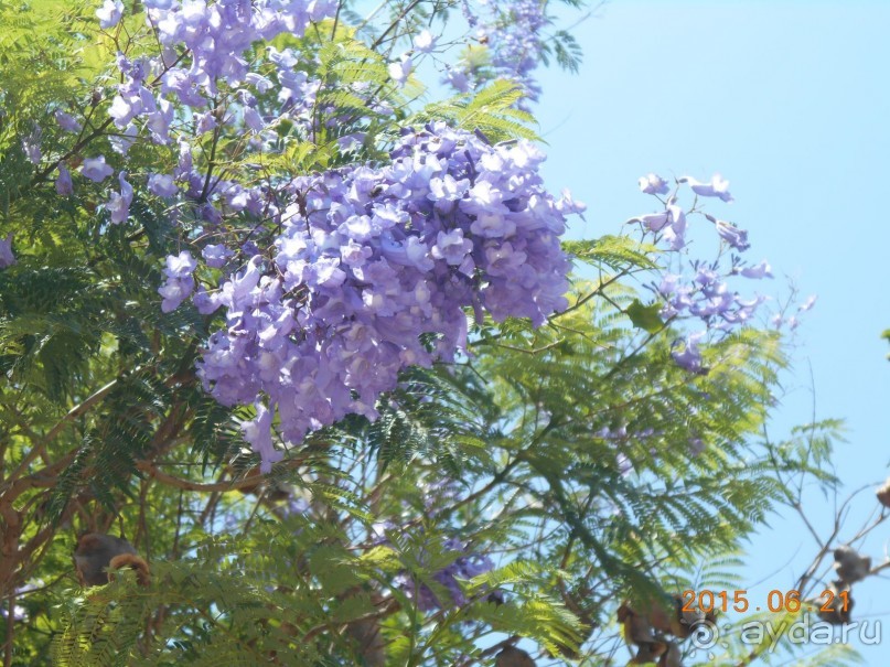 Отдых с детьми.