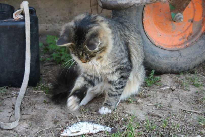 3 волшебных дня было у меня, было у меня с тобой…