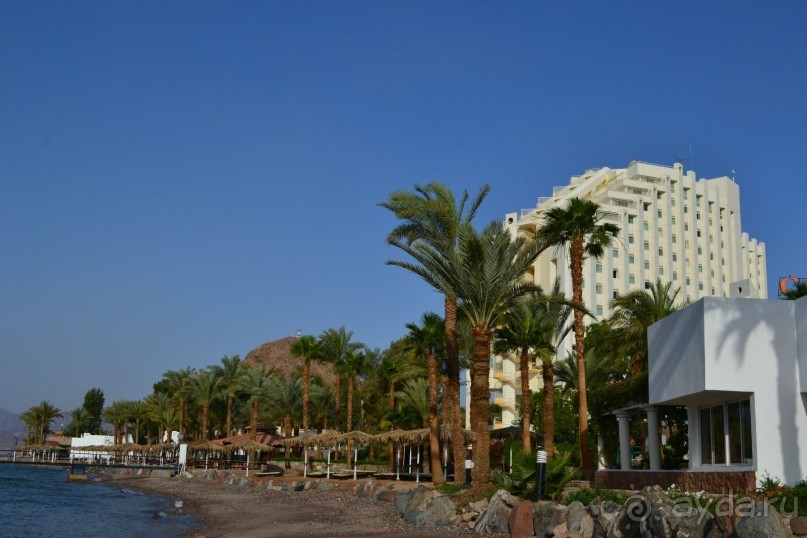 Хиллтон ТАБА !!!""ТИПА"" 5* читать обязательно!!!!