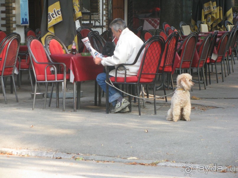 Сербия  окт 2012