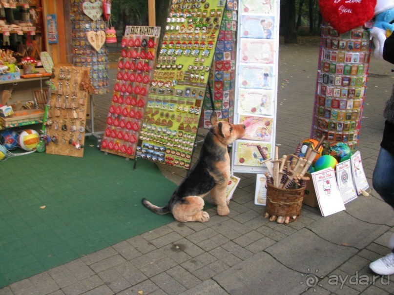 Сербия  окт 2012