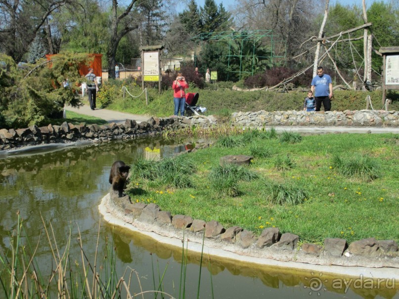 Альбом отзыва "Знакомство с курортами Сербии 2."