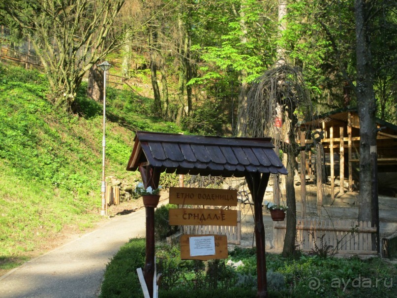 Альбом отзыва "Знакомство с курортами Сербии 2."