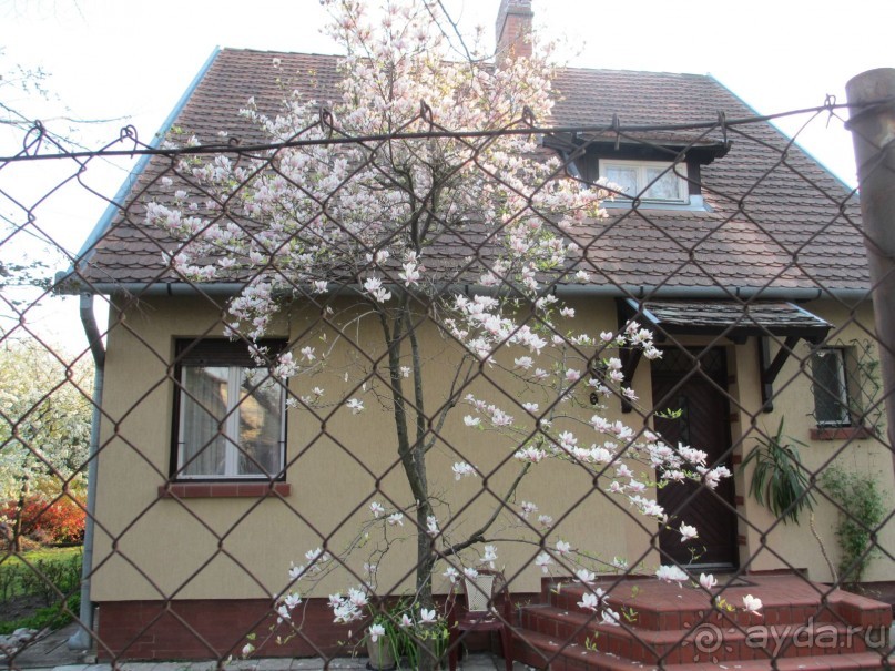 Альбом отзыва "Знакомство с курортами Сербии 2."