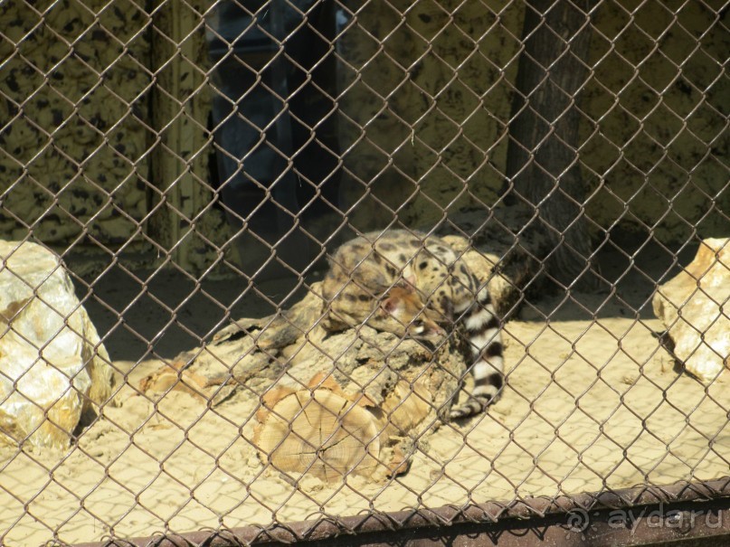 Альбом отзыва "Знакомство с курортами Сербии 2."