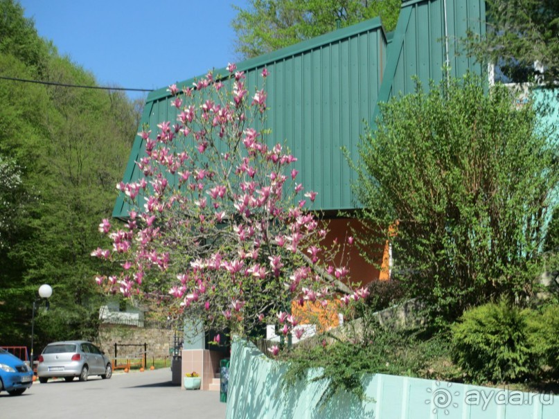 Альбом отзыва "Знакомство с курортами Сербии 2."