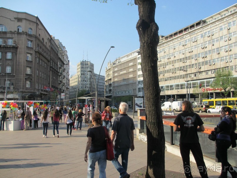 Альбом отзыва "Знакомство с курортами Сербии 2."