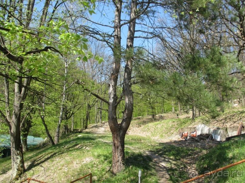 Альбом отзыва "Знакомство с курортами Сербии 2."