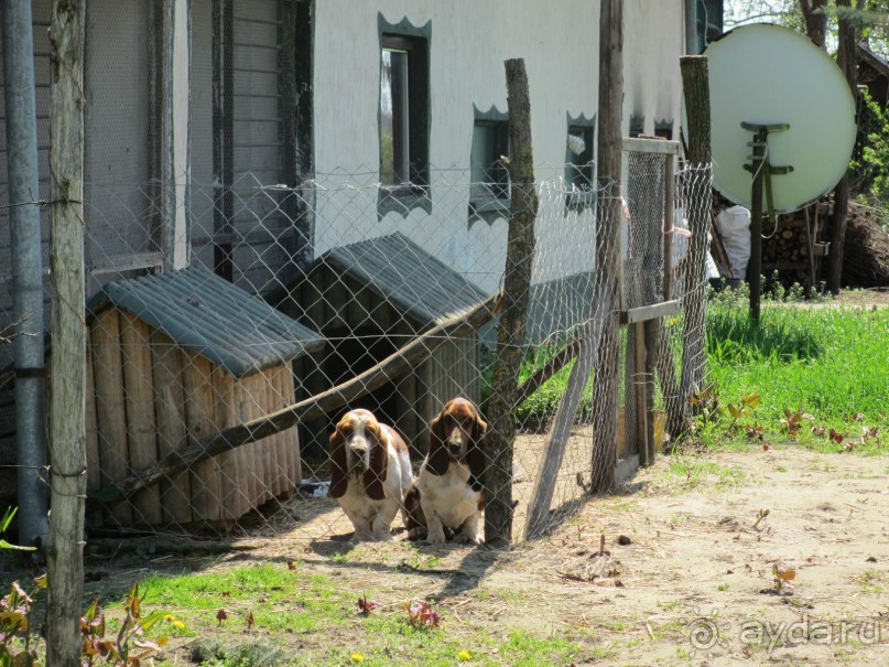 Альбом отзыва "Знакомство с курортами Сербии 2."