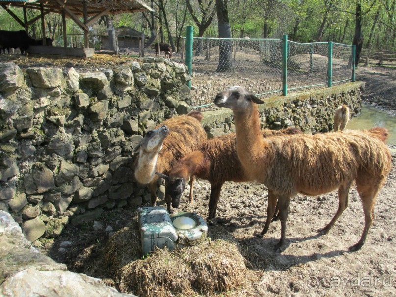 Альбом отзыва "Знакомство с курортами Сербии 2."