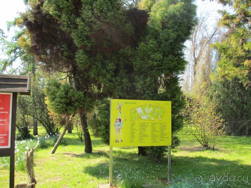 Сербия 2013 апрель