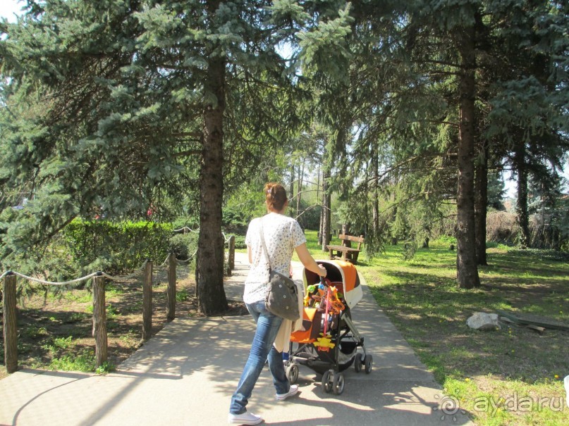 Сербия 2013 апрель