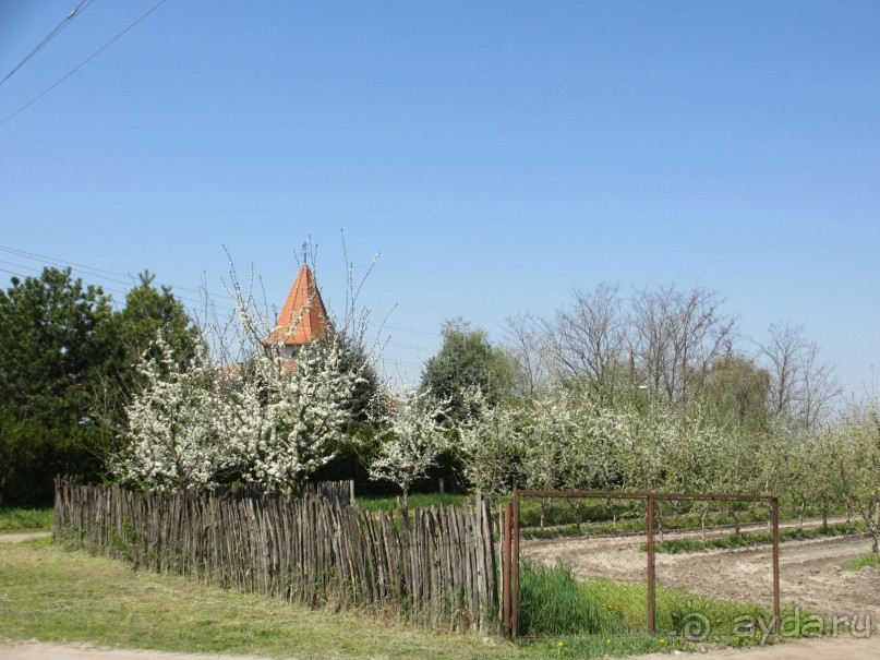Сербия 2013 апрель
