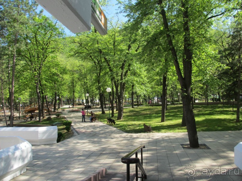 Сербия 2013 апрель