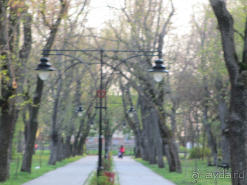 Сербия 2013 апрель