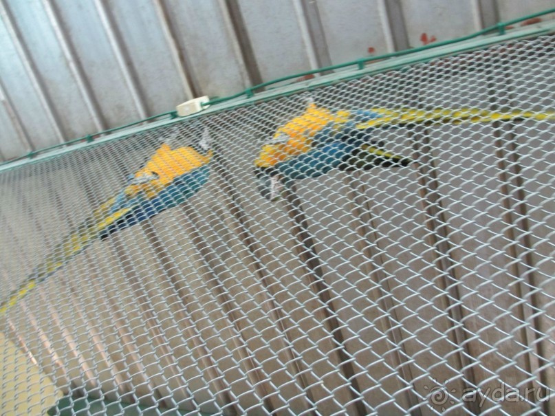 Сербия 2013 апрель