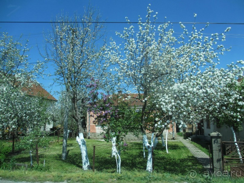Сербия 2013 апрель
