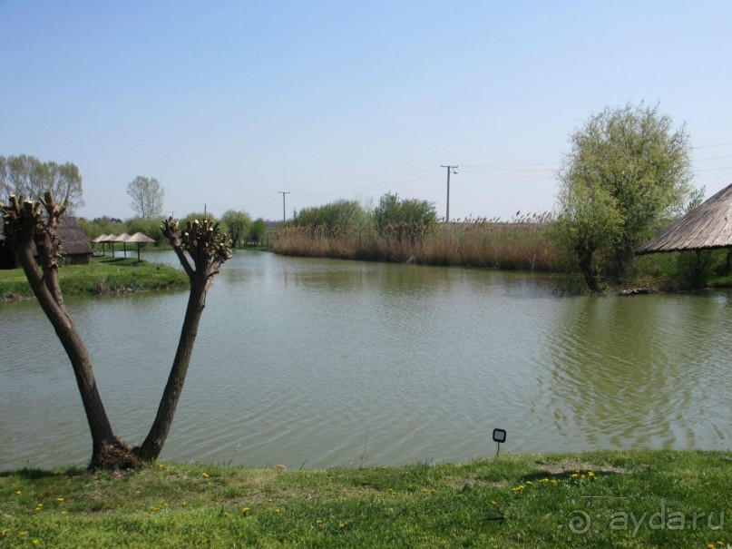 Сербия 2013 апрель