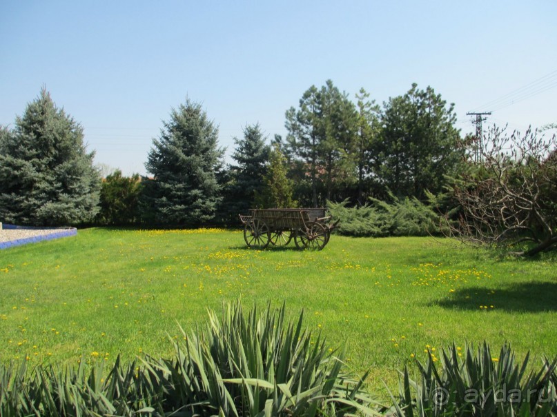 Сербия 2013 апрель