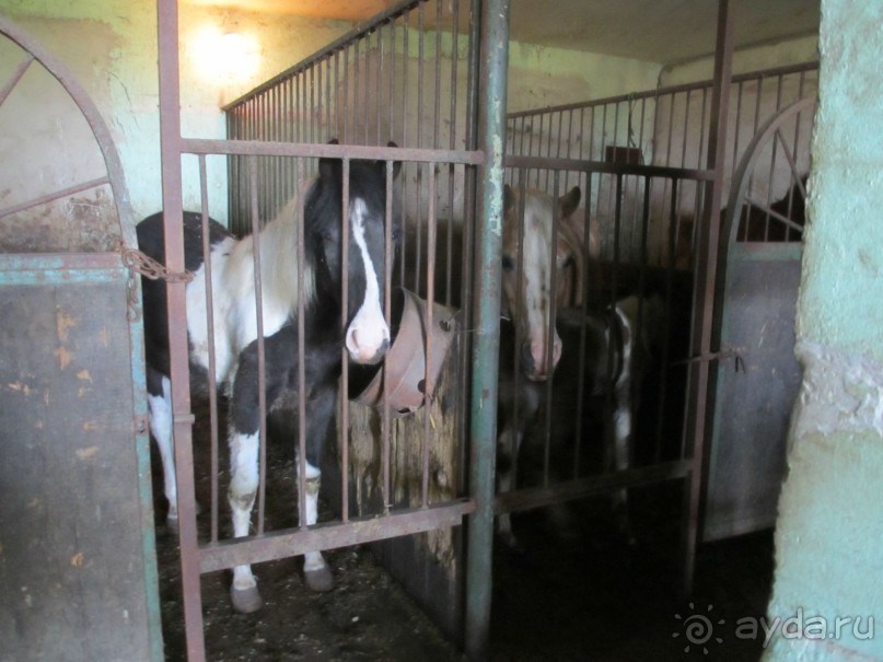 Сербия 2013 апрель