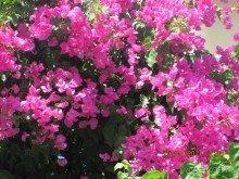 Прекрасный отдых!!!