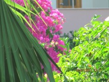 Прекрасный отдых!!!