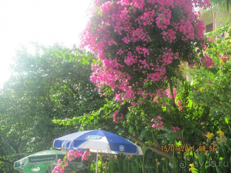 Прекрасный отдых!!!