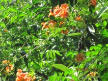 Прекрасный отдых!!!