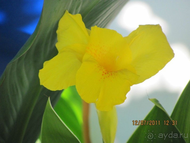 Прекрасный отдых!!!