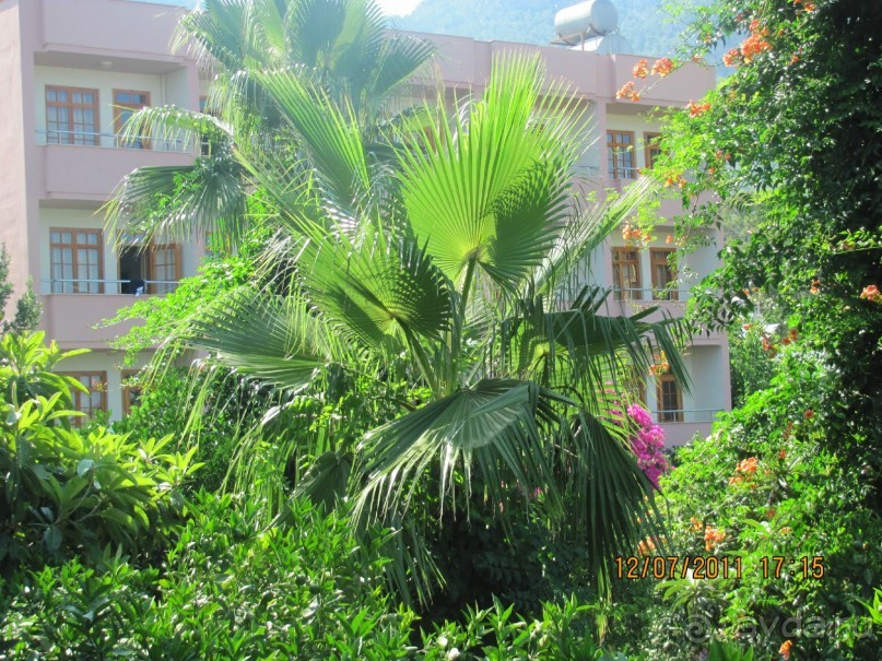 Прекрасный отдых!!!