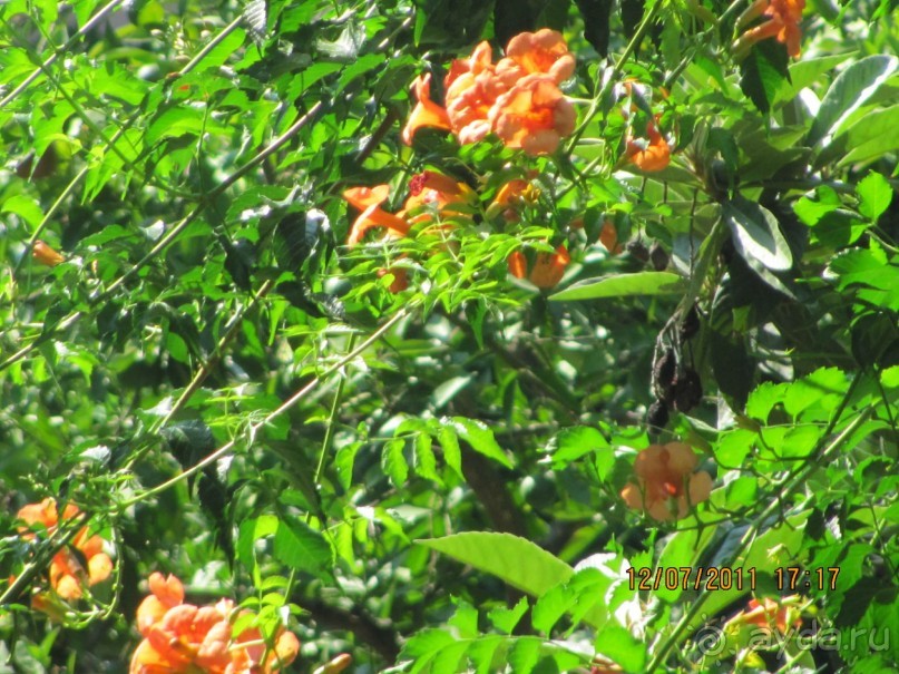 Прекрасный отдых!!!