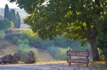 фото Podere Alberese