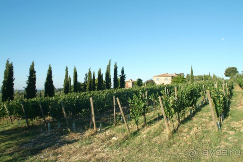 Отдых в Тоскане
