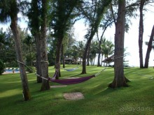 Очень понравилось