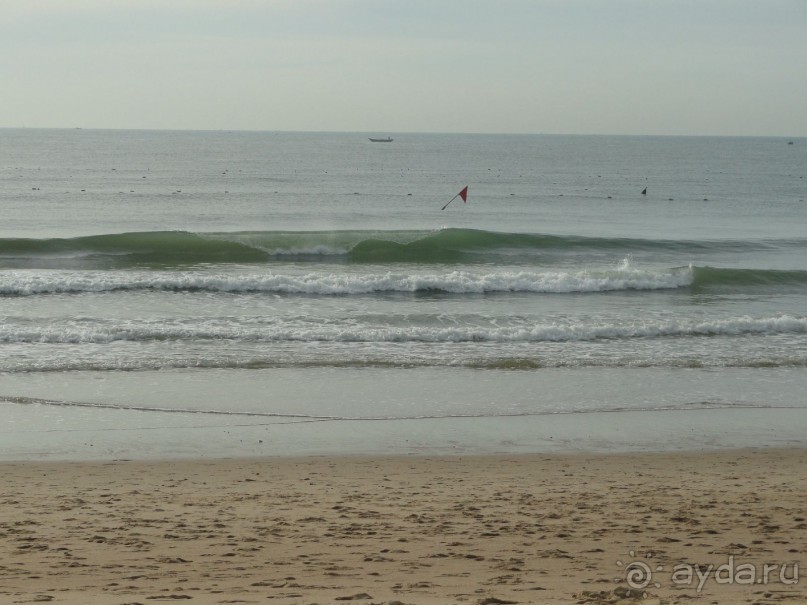 Очень понравилось