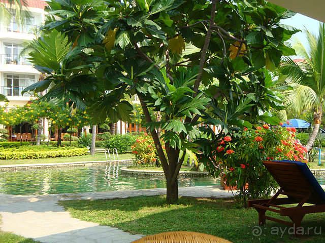 Отличный отель