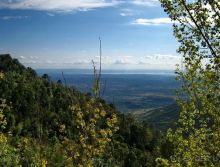   Намастэ Индия или какая я жадная. Путешествие по Северной Индии. Малый Тибет.