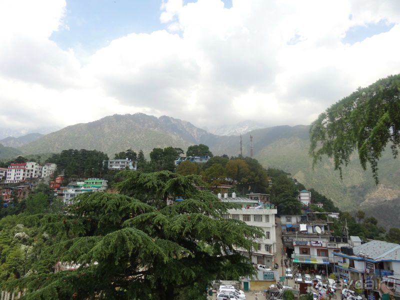   Намастэ Индия или какая я жадная. Путешествие по Северной Индии. Малый Тибет.