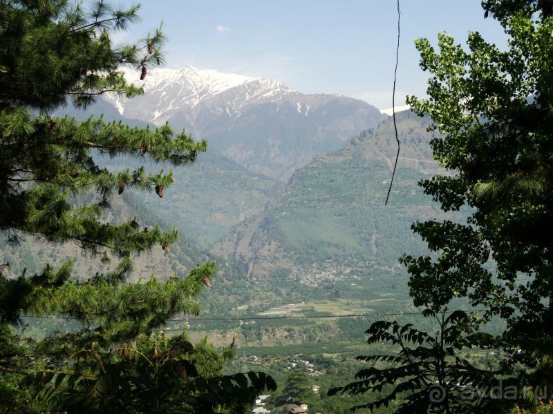   Намастэ Индия или какая я жадная. Путешествие по Северной Индии. Малый Тибет.