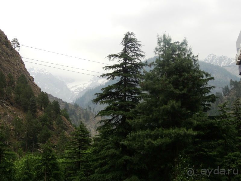   Намастэ Индия или какая я жадная. Путешествие по Северной Индии. Малый Тибет.