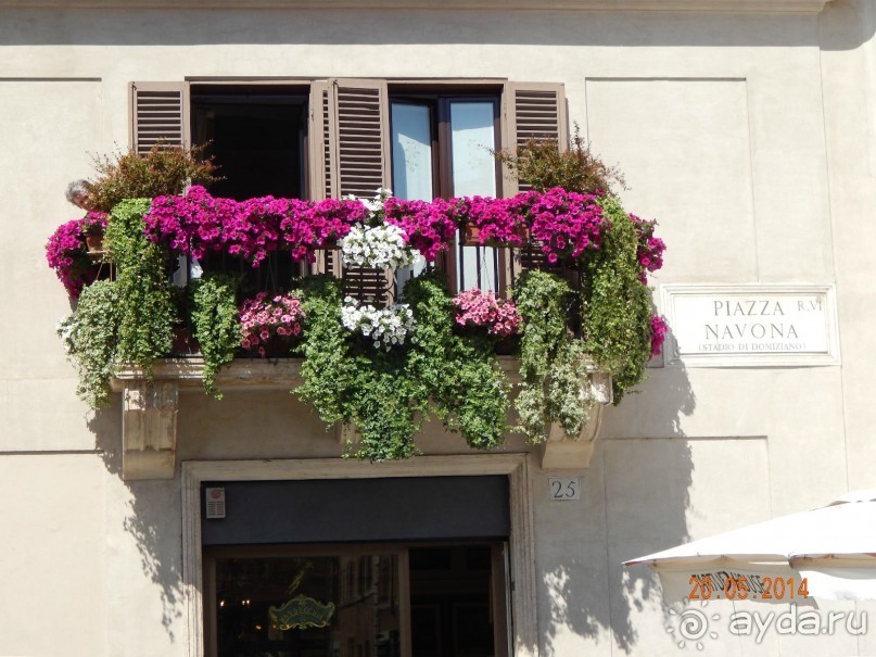 В Италию с "Данко"