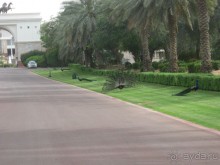 фото Comfort Inn Hotel