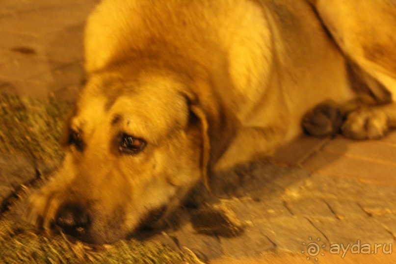 Отель для непритязательного туриста...