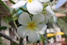 Первая встреча с морем...