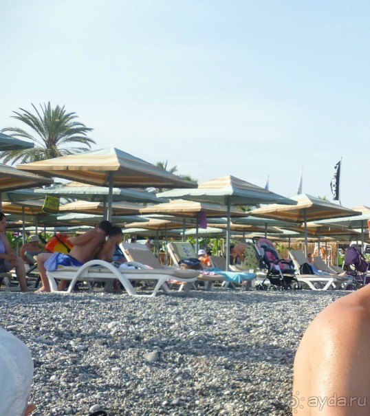 Отличный отдых с ребенком, футболом и волейболом