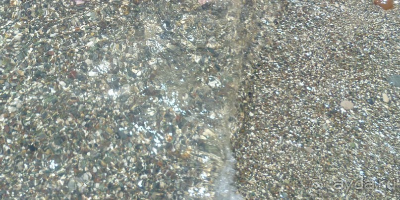 Отличный отдых с ребенком, футболом и волейболом