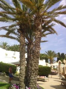 Отдых и лечение в одном флаконе.