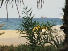 Отдых и лечение в одном флаконе.