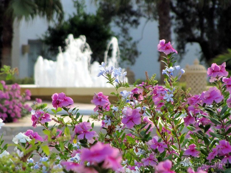 Отдых и лечение в одном флаконе.